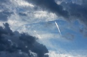 夢(mèng)到狼的寓意與解析，夢(mèng)到狼的寓意與解析