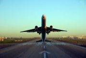雛鳥之夢(mèng)，一場(chǎng)深邃的心靈之旅