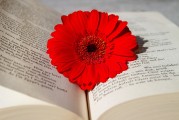 帶書(shū)注冊(cè)攻略，輕松開(kāi)啟閱讀之旅，一鍵注冊(cè)，暢游書(shū)海，輕松開(kāi)啟閱讀之旅攻略