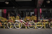 "車庫(kù)禁停新能源車"？廣東省博物館回應(yīng)