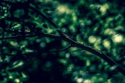 夢(mèng)到鼻子壞了，一次心靈的覺醒