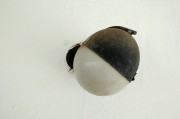 夢境中的蛆——探索內(nèi)心深處的象征意義，夢境中的蛆，探索內(nèi)心深處的象征意義