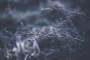 暢游無(wú)拘無(wú)束的免費(fèi)MC游戲世界，盡享無(wú)拘無(wú)束自由世界的MMORPG，MC游戲的世界冒險(xiǎn)之旅