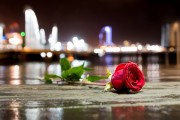 夢(mèng)中的情感紐帶——與男朋友的朋友的奇妙邂逅，夢(mèng)中的情感紐帶，與男朋友的朋友的奇妙邂逅的回憶與體驗(yàn)