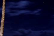 夜深人靜時(shí)的享受——探索睡眠免費(fèi)游戲的魅力，享受寧?kù)o夜晚，探索深度睡眠游戲的魅力