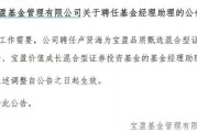罕見！寶盈基金詭異的基金經理變動！