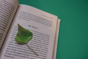湖南校園注冊攻略，輕松開啟你的大學(xué)生活，湖南校園注冊全攻略，輕松邁入大學(xué)生活新篇章