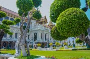 夢中的李子樹，一段心靈的旅程，夢中的李子樹，心靈的旅程之旅