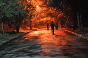 夢(mèng)中奔跑的啟示，夢(mèng)中奔跑的啟示