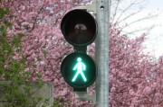 新車輪胎發(fā)黃的原因是什么？如何預(yù)防和處理這一問題？