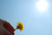夢(mèng)中的朋友，大肚子的寓意，夢(mèng)中的朋友與大肚子的寓意