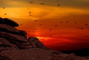 夢(mèng)中的航行之旅，夢(mèng)中的航行之旅，探索心靈深處的旅程
