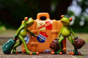 僵尸戰(zhàn)爭(zhēng)，如何輕松注冊(cè)，開(kāi)啟你的戰(zhàn)斗之旅！輕松注冊(cè)，加入僵尸戰(zhàn)爭(zhēng)，開(kāi)啟你的驚心動(dòng)魄戰(zhàn)斗之旅！