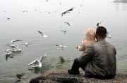 馬斯克，突發(fā)！海湖莊園傳來大消息，全球數(shù)百萬人大集結……