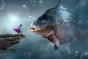 夢中捉魚，一場與魚的奇妙邂逅，夢中捉魚，一場與魚的奇妙邂逅