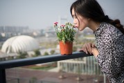 夢(mèng)中邂逅，女孩的神秘世界，夢(mèng)中邂逅，女孩的神秘世界