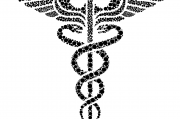 夢(mèng)中蛇影，解讀夢(mèng)到蛇爬身上的神秘寓意，夢(mèng)中蛇影，解讀夢(mèng)到蛇爬身上的神秘寓意