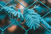 快速網(wǎng)站優(yōu)化，高效快速的網(wǎng)站優(yōu)化策略