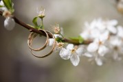 夢(mèng)中之筆，一篇關(guān)于夢(mèng)到文章的探索