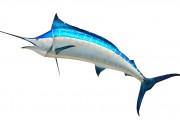 無限制的海洋冒險，游戲釣魚免費下載體驗，無盡海洋，魚類垂釣樂趣無窮！輕松下載并享受游戲捕魚的樂趣