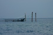 夢中的魚影，一次自我探索的殺魚夢，夢中之魚影，一次自我探索的殺魚夢境