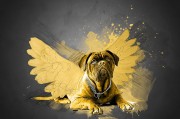 夢(mèng)到路上撿錢(qián)，財(cái)富的預(yù)兆還是虛幻的夢(mèng)？