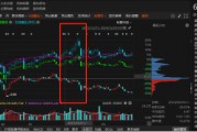 祥源文旅非經(jīng)營性資金占用雖已歸還，但仍被出具警示函！