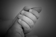 孕婦夢(mèng)到狼，寓意與解讀，孕婦夢(mèng)到狼的寓意與解讀