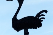 夢(mèng)中的蛇咬人，解讀與解析，夢(mèng)中的蛇咬人，解讀與解析