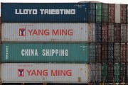 流量費網(wǎng)站的崛起與影響，流量費網(wǎng)站的發(fā)展與趨勢，對消費者和運營商的影響