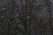 夢中雪舞，心靈的洗禮，夢中雪舞，心靈的洗禮