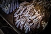 夢(mèng)游奇幻之?！獕?mèng)到奇怪的魚