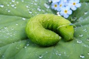 綠色環(huán)保，從注冊(cè)綠色開始—綠色平臺(tái)注冊(cè)指南，綠色注冊(cè)，開啟環(huán)保之旅——綠色平臺(tái)注冊(cè)攻略