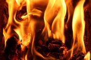 行尸走肉游戲免費(fèi)下載，讓你在末日中找尋生存之道，高清免費(fèi)的行尸走肉游戲大放送，末世求生必備神器