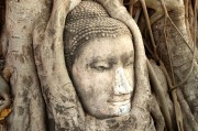 游戲中的情感釋放，憤怒與自由，深度解析，游戲中的情感釋放、憤怒與自由
