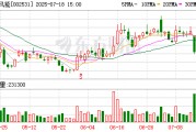 天順風(fēng)能：目前并沒有股權(quán)融資的計劃