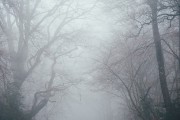 夢境中的奇妙之旅，一次關(guān)于屎的夢境解析，夢境中的奇幻之旅，屎的夢境解析
