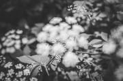 夢(mèng)中的告別，一次與逝者的邂逅，夢(mèng)中的告別，與逝者的邂逅