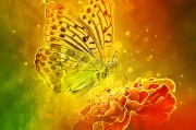 季節(jié)游戲，免費游戲的狂歡盛宴，電子競技，一場無需付費、歡樂無邊的游戲盛宴