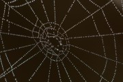 Unity開發(fā)的概述，Unity，創(chuàng)建3D游戲和應(yīng)用程序的強(qiáng)大工具