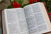 團員證漏注冊怎么辦？全方位解答您的困惑，團員證注冊遺漏解決方案全解析