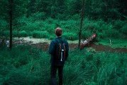 憤怒的小鳥2免費游戲，開啟你的綠色飛行之旅