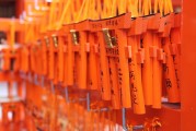 無(wú)門檻的自由斗地主——游戲單機(jī)斗地主，一人一地一張牌，一鍵玩轉(zhuǎn)無(wú)門檻的免費(fèi)斗地主游戲