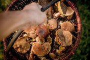 解析夢(mèng)境中的拉屎象征意義，解析夢(mèng)境中的拉屎象征意義