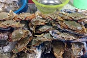夢中奇遇，螃蟹與魚的共舞，夢中奇遇，螃蟹與魚的共舞