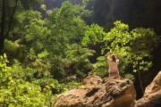 夢中尋房，探索未知與內(nèi)心深處的旅程，夢中尋房，探索未知與內(nèi)心深處的旅程