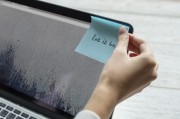 網(wǎng)站流量傳輸方式解析，揭秘高效穩(wěn)定的網(wǎng)絡(luò)世界