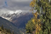 夢(mèng)境中的狂風(fēng)暴雨，一場心靈的洗禮，夢(mèng)境狂風(fēng)暴雨，心靈的洗禮之旅