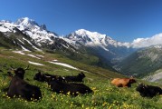 自由的纜車上山之旅，纜車旅行，一次自由探索山區(qū)的美妙體驗