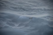 翱翔太空的戰(zhàn)爭(zhēng)游戲——星際爭(zhēng)霸，星際爭(zhēng)霸，浩瀚宇宙中的英勇對(duì)決